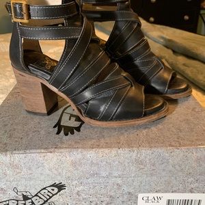 FreeBird by Steven style Claw